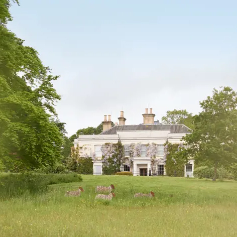 Limewood House Hotel Hampshire