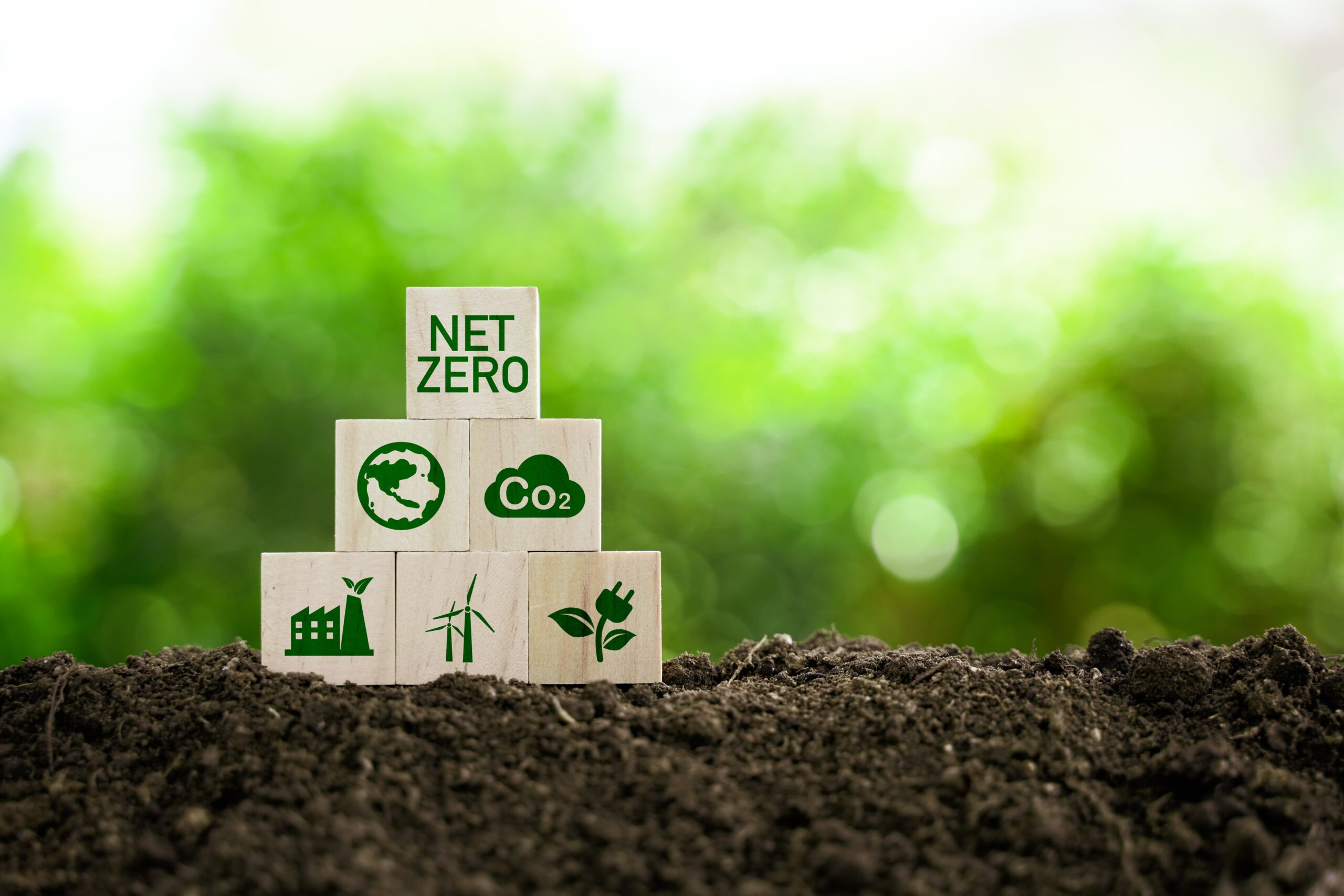 Be mindful of CSR and Sustainability