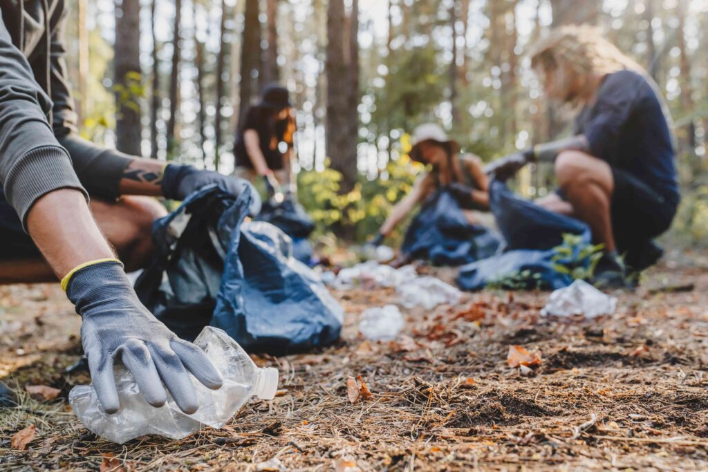 Sustainability and Social Responsibility