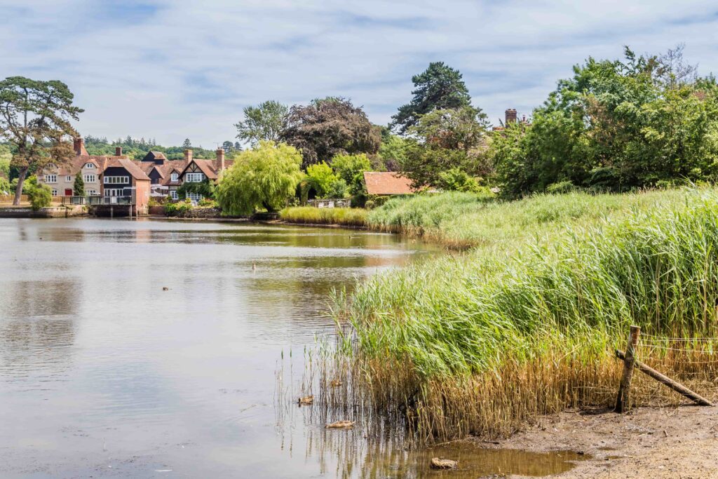 Grounded luxury in Hampshire
